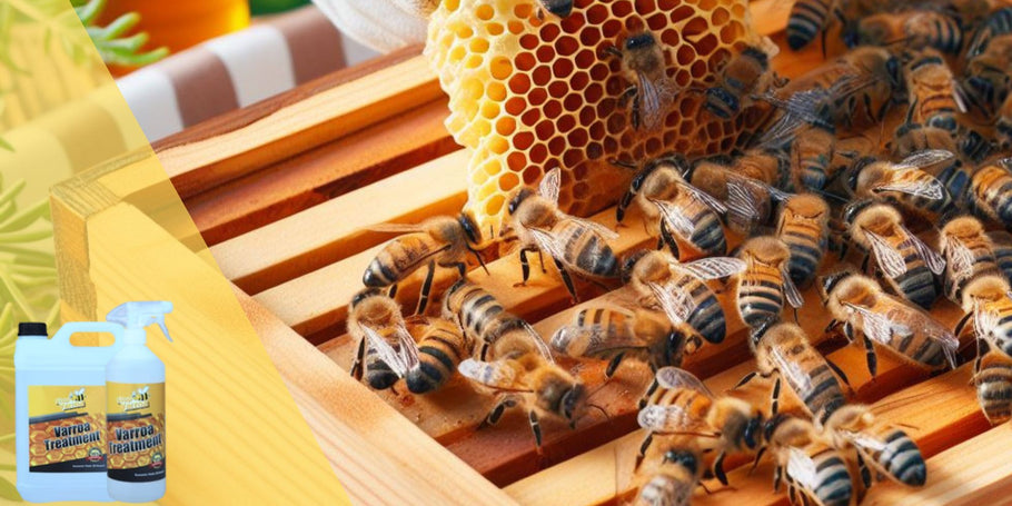 Afscheid van Varroa, Hallo Gezonde Bijenkorven: Een Compleet Gids voor Behandelingen