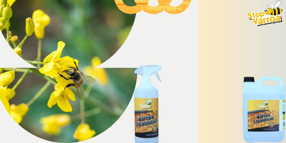 Anticipeer op de aanwezigheid van Varroa en bescherm onze bijen effectief