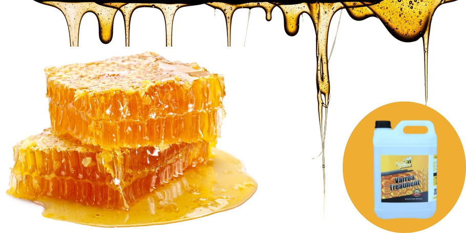 Bijenteelt: Waarschuwing voor de afname van honingproductie!