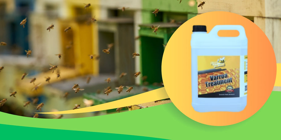 Ontdek Stop Varroa, de effectieve, risicovrije antivarroabehandeling waarnaar je op zoek was!