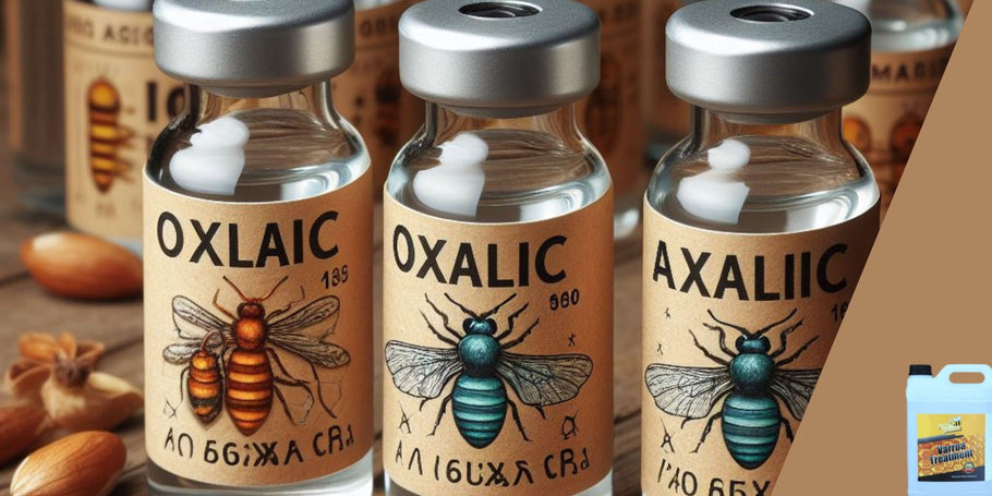 Strijd tegen Varroa: Behandeling met oxaalzuur, een veelbelovend alternatief