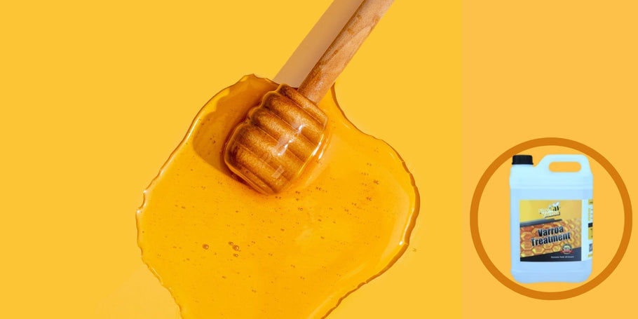 Het raadsel van de verdwenen honing: het diagnosticeren van productieproblemen met uw honing