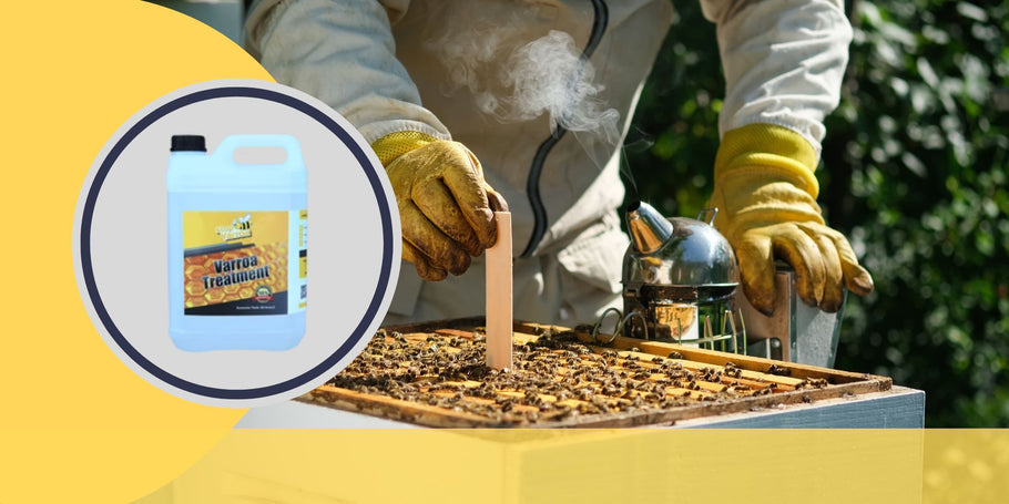 Varroamijten bestrijden: sleutelmomenten om de gezondheid van bijen te beschermen