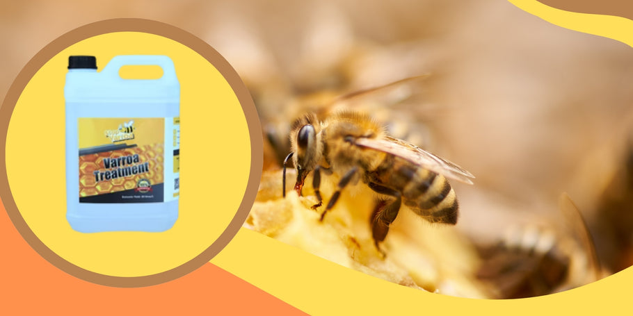 Wat kan ik doen om Varroa-infecties in mijn bijenkasten te voorkomen?