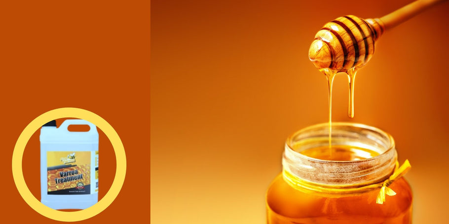 SOS Honing: Mijn bijenkorf produceert niet meer! De varroamijt, de gezworen vijand van bijen